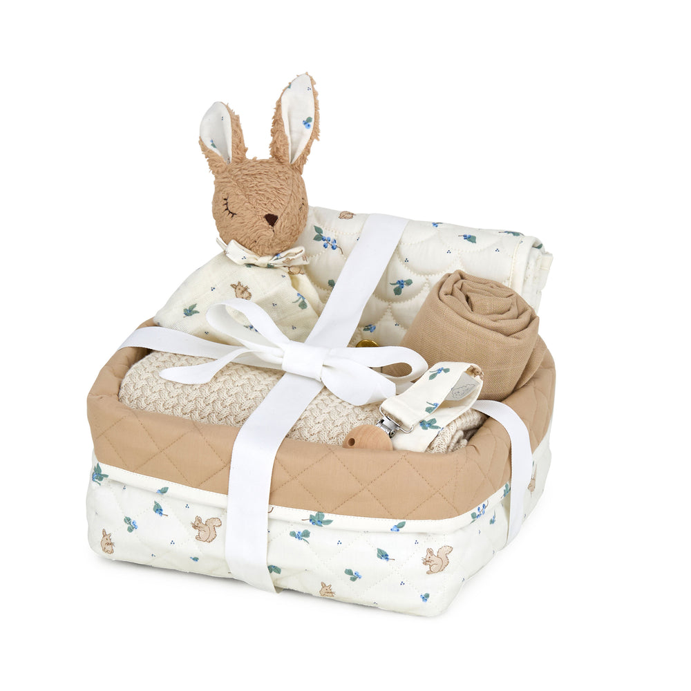 Cam Cam Copenhagen - Baby Shower Geschenkkorb, dreamland | blueberries