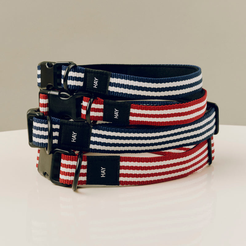 HAY - Dogs Hundehalsband