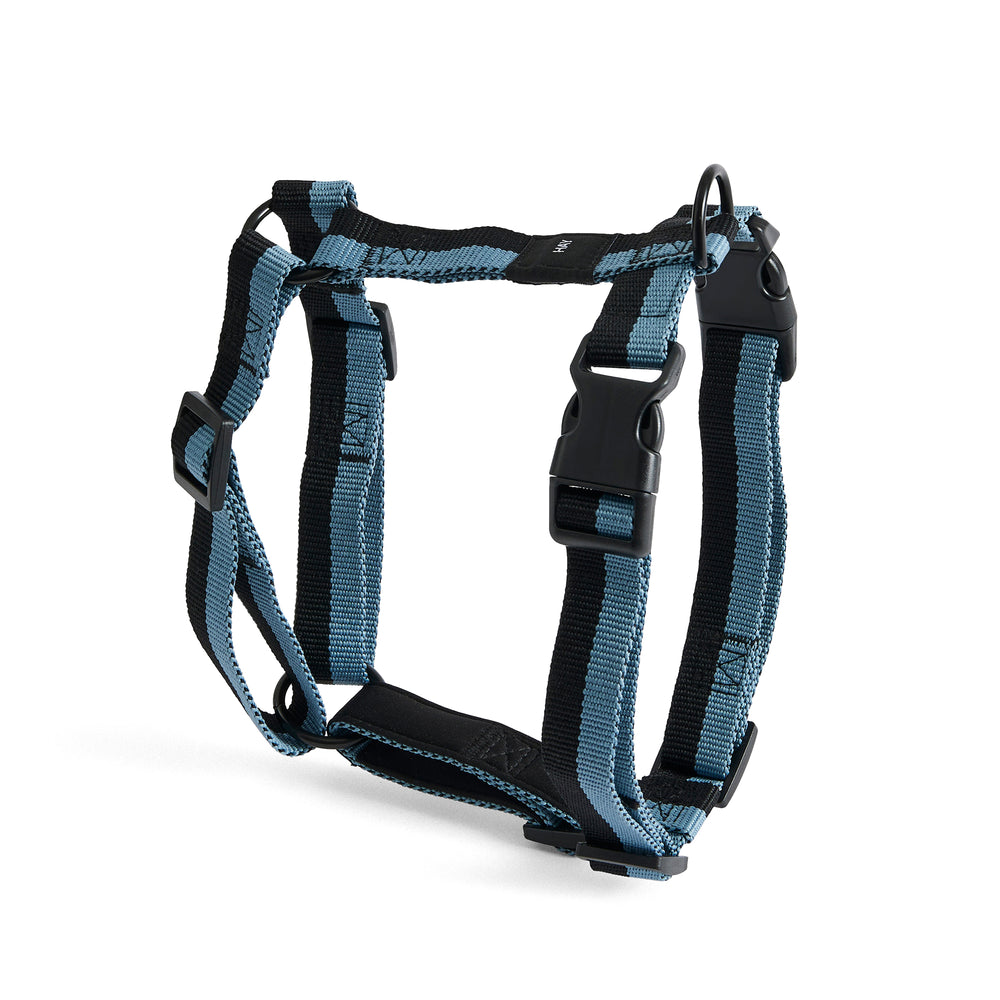 HAY - Dogs Hundegeschirr | blue/black
