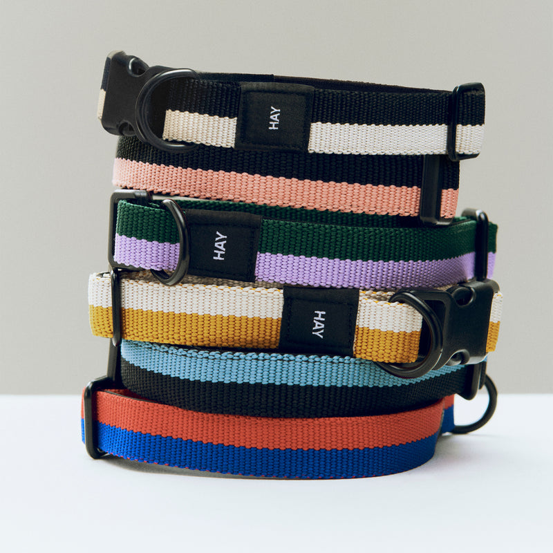 HAY - Dogs Hundehalsband