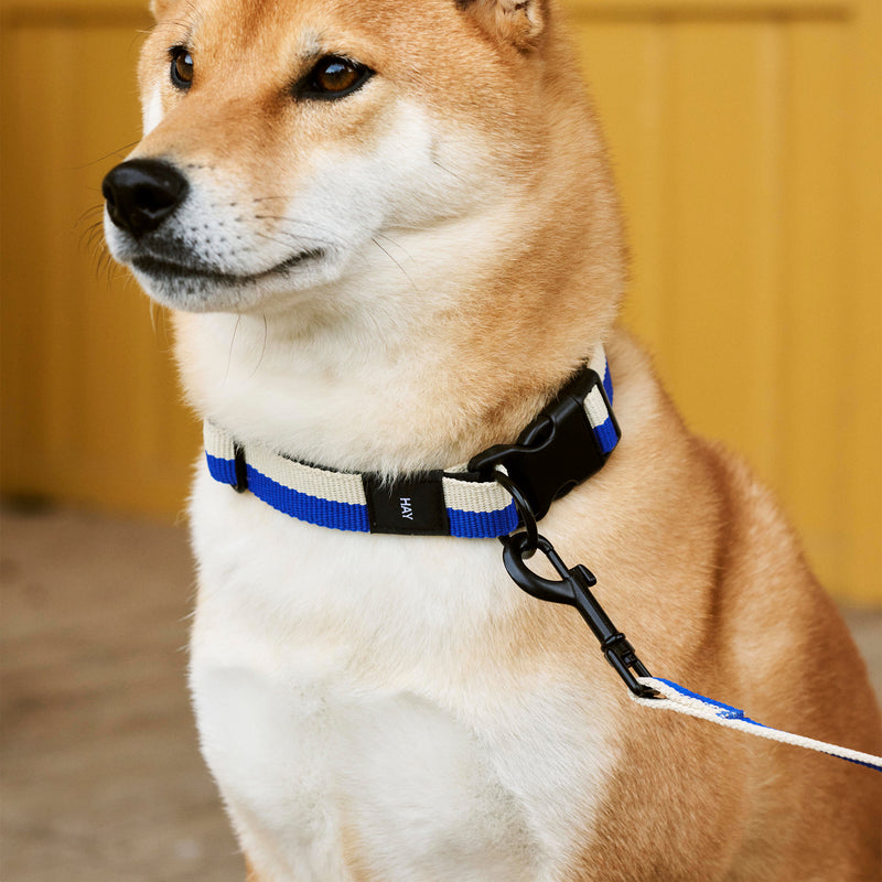 HAY - Dogs Hundehalsband