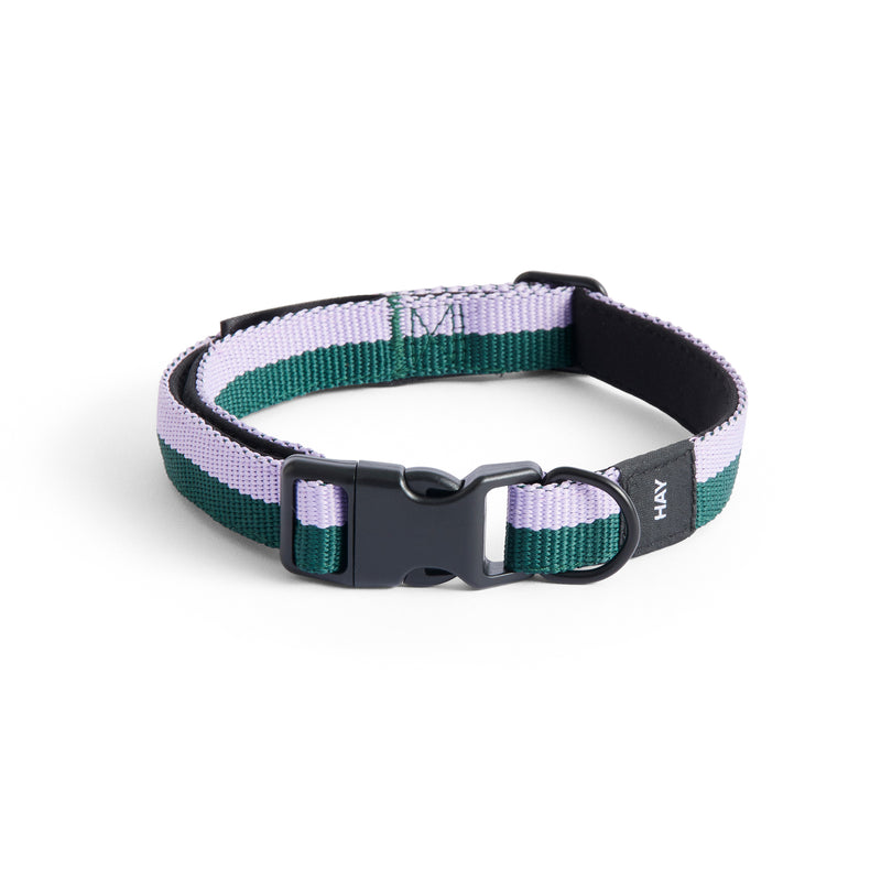 HAY - Dogs Hundehalsband | S/M / lavender/green