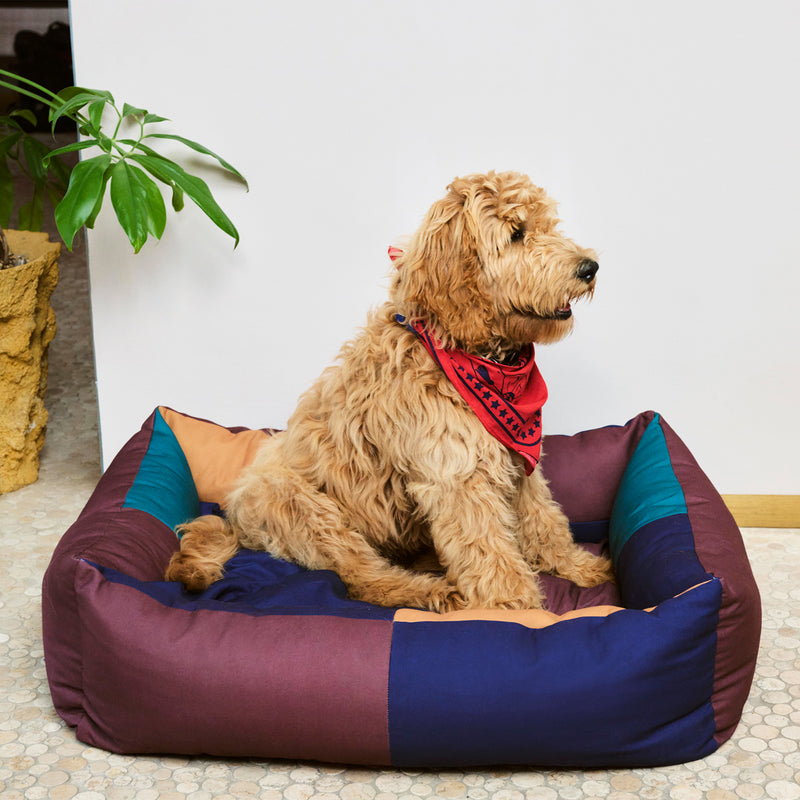 HAY - Dogs Hundebett