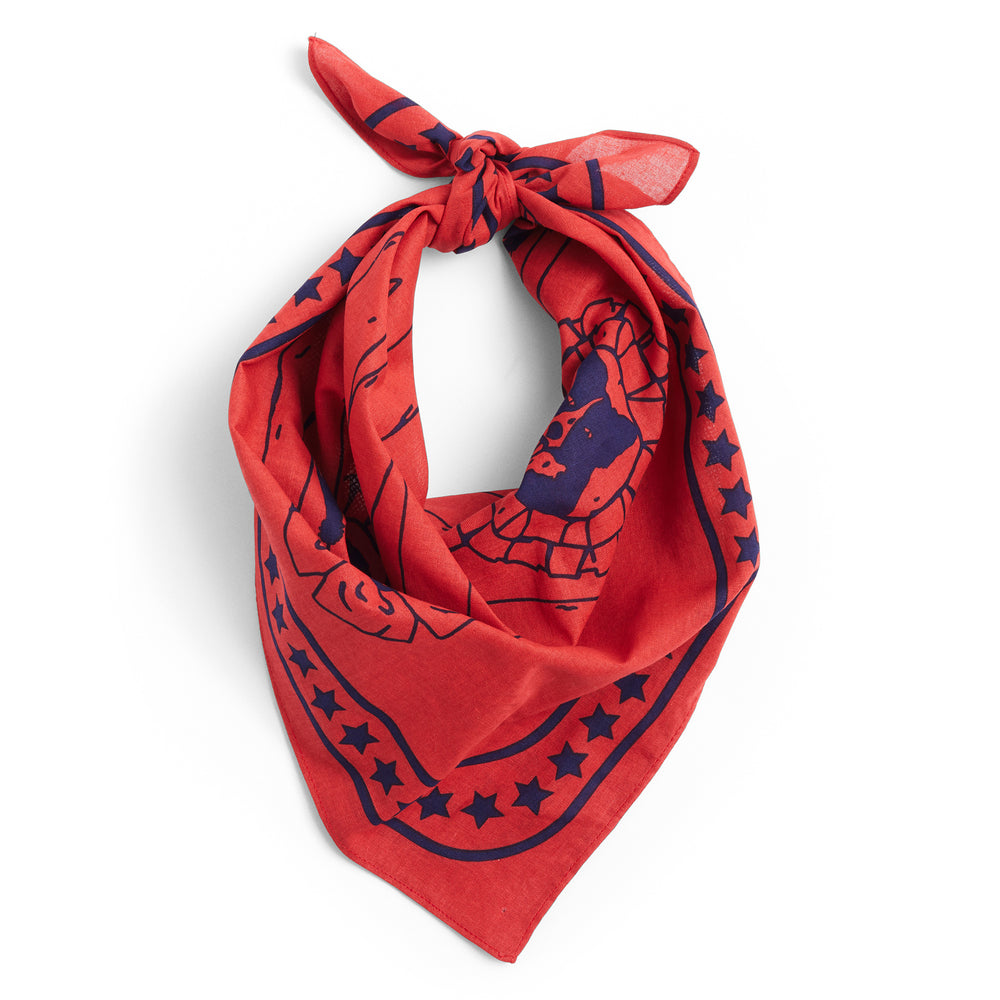 HAY - Dogs Hundetuch | red