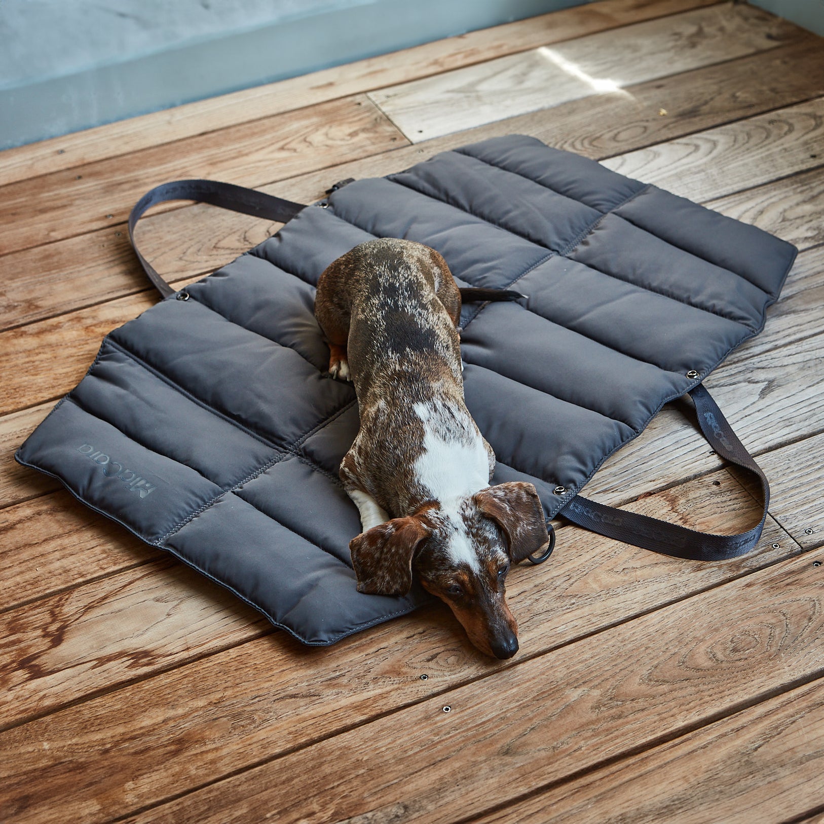 MiaCara - Strada TravelBed Hundereisebett