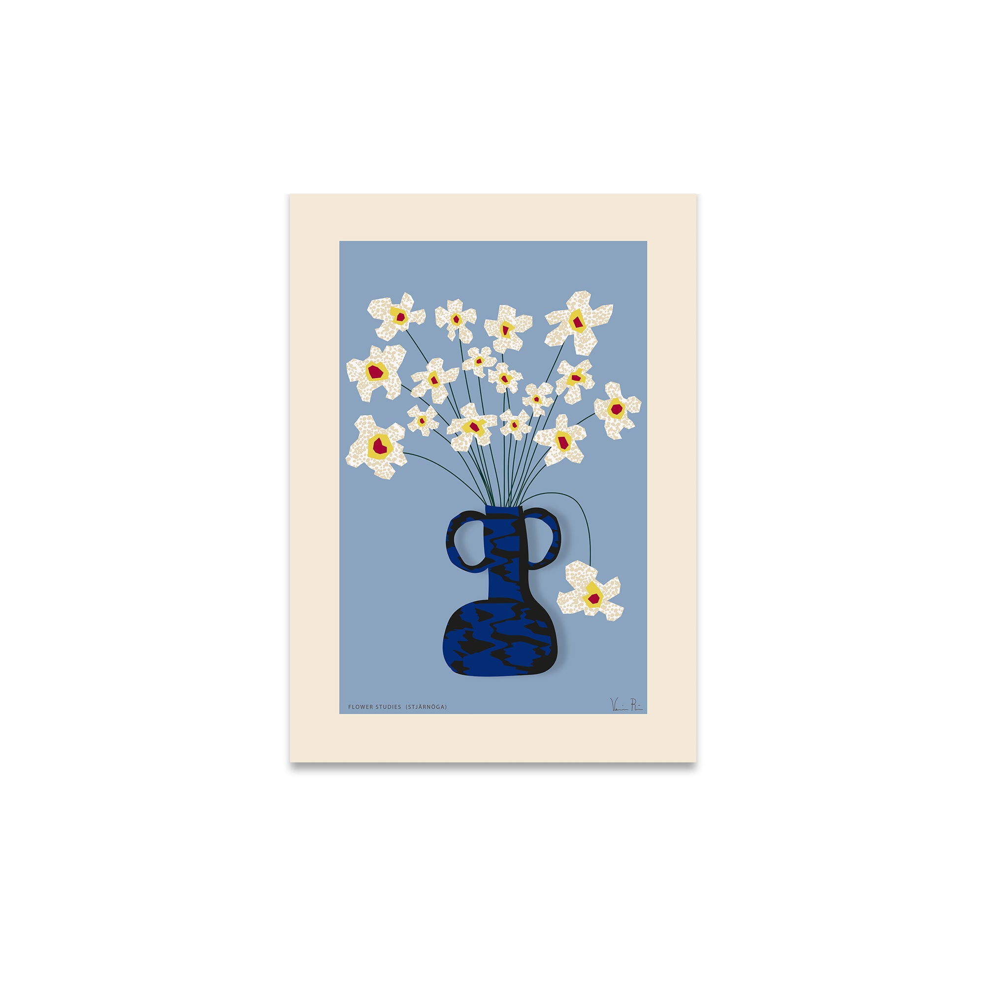 Paper Collective - Flower Studies 04 (Stjärnöga) Poster | 30 x 40 cm