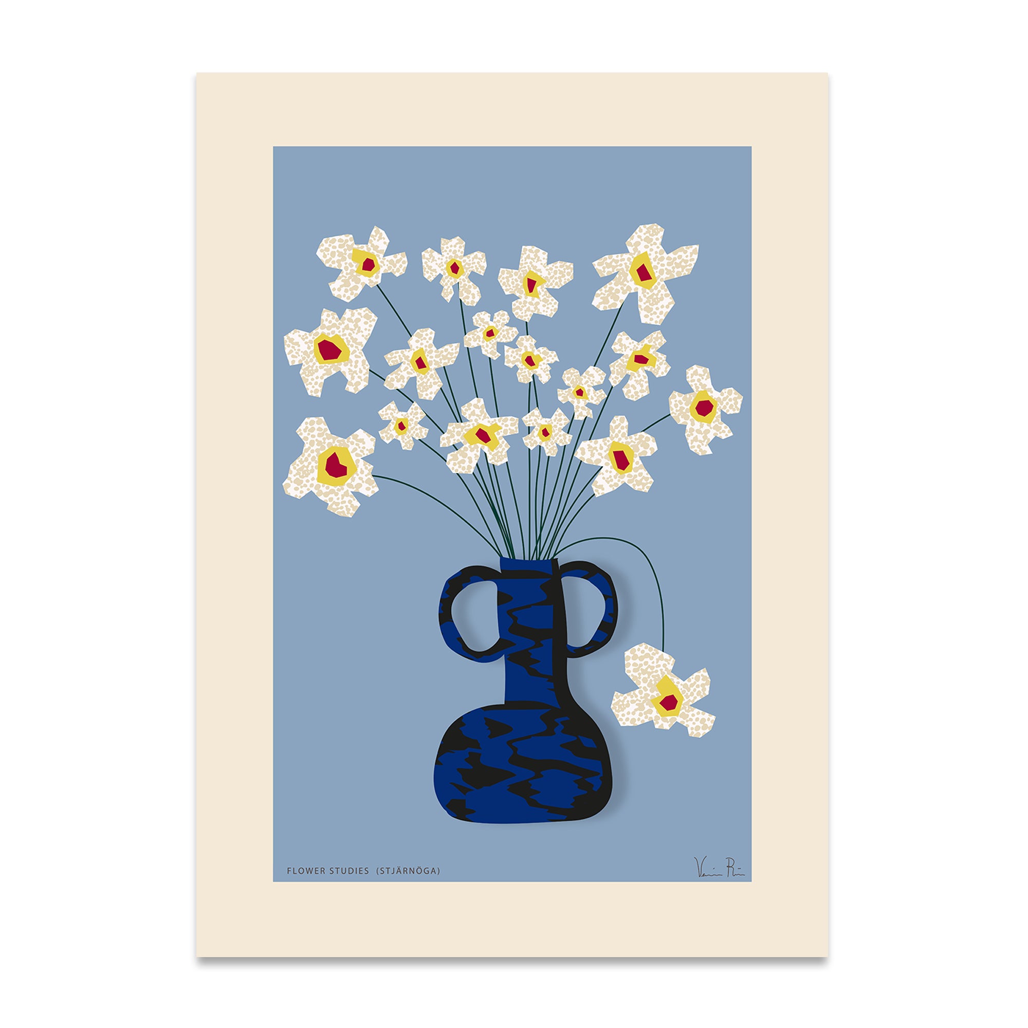 Paper Collective - Flower Studies 04 (Stjärnöga) Poster | 50 x 70 cm