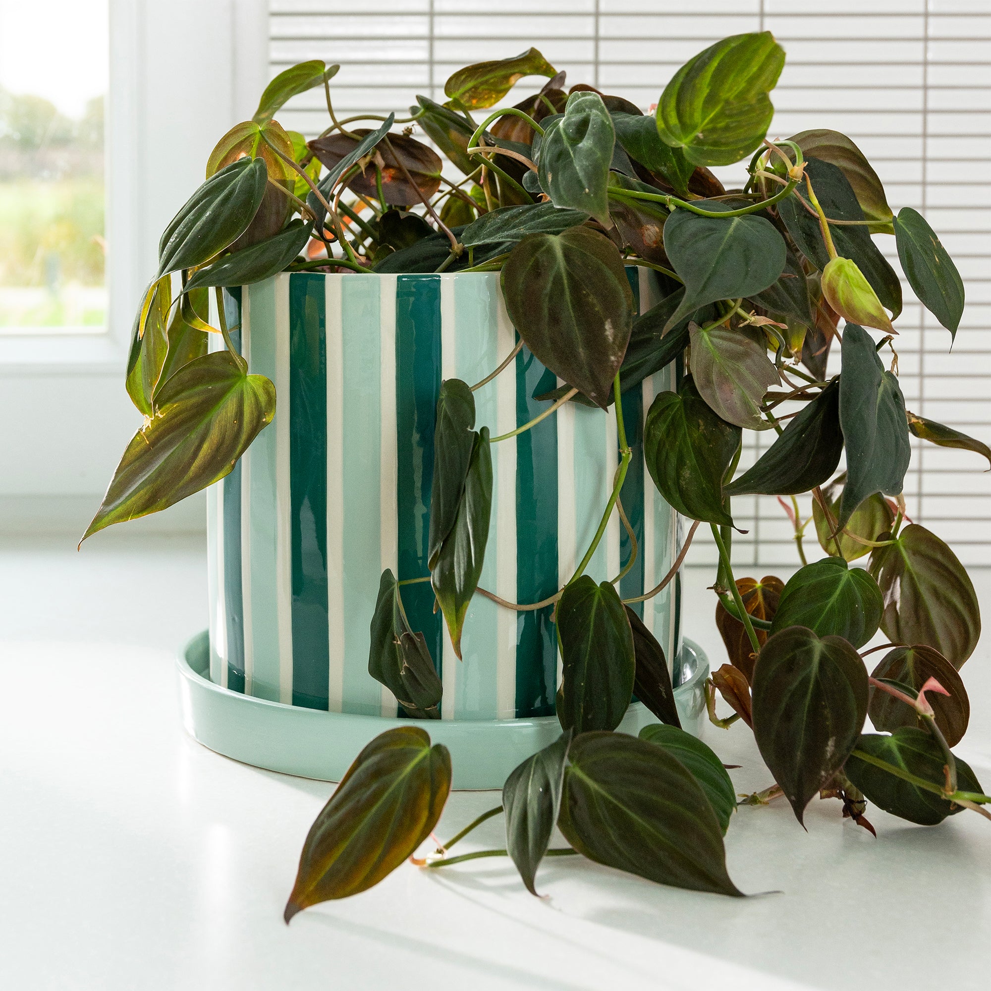 &amp;klevering - Clash Blumentopf | green/white