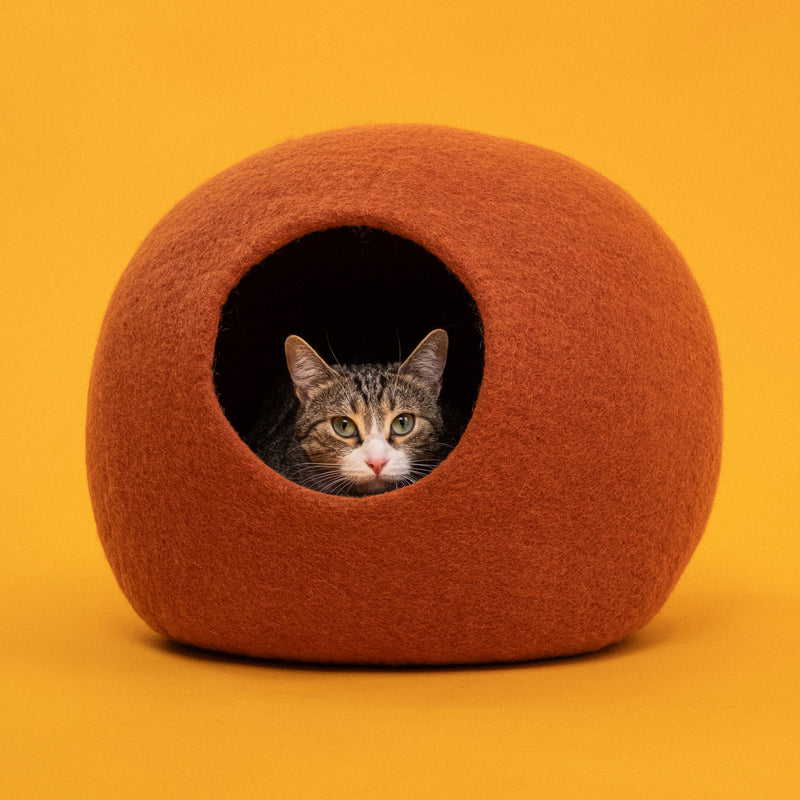 myfelt - Katzenhöhle