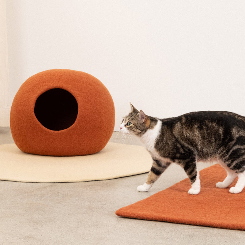 myfelt - Katzenhöhle