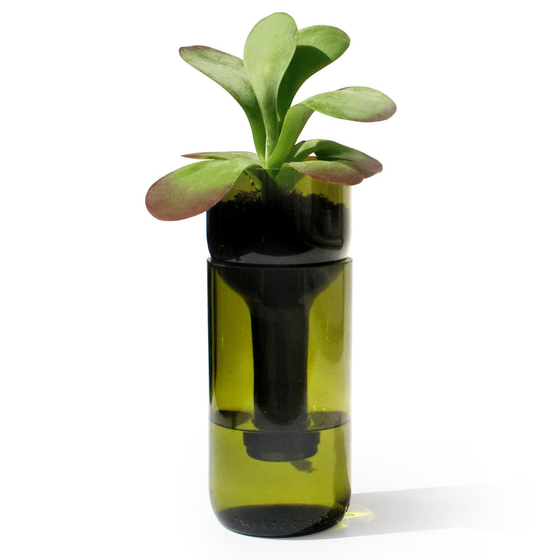 side by side - Self Watering Bottle Blumentopf | grün